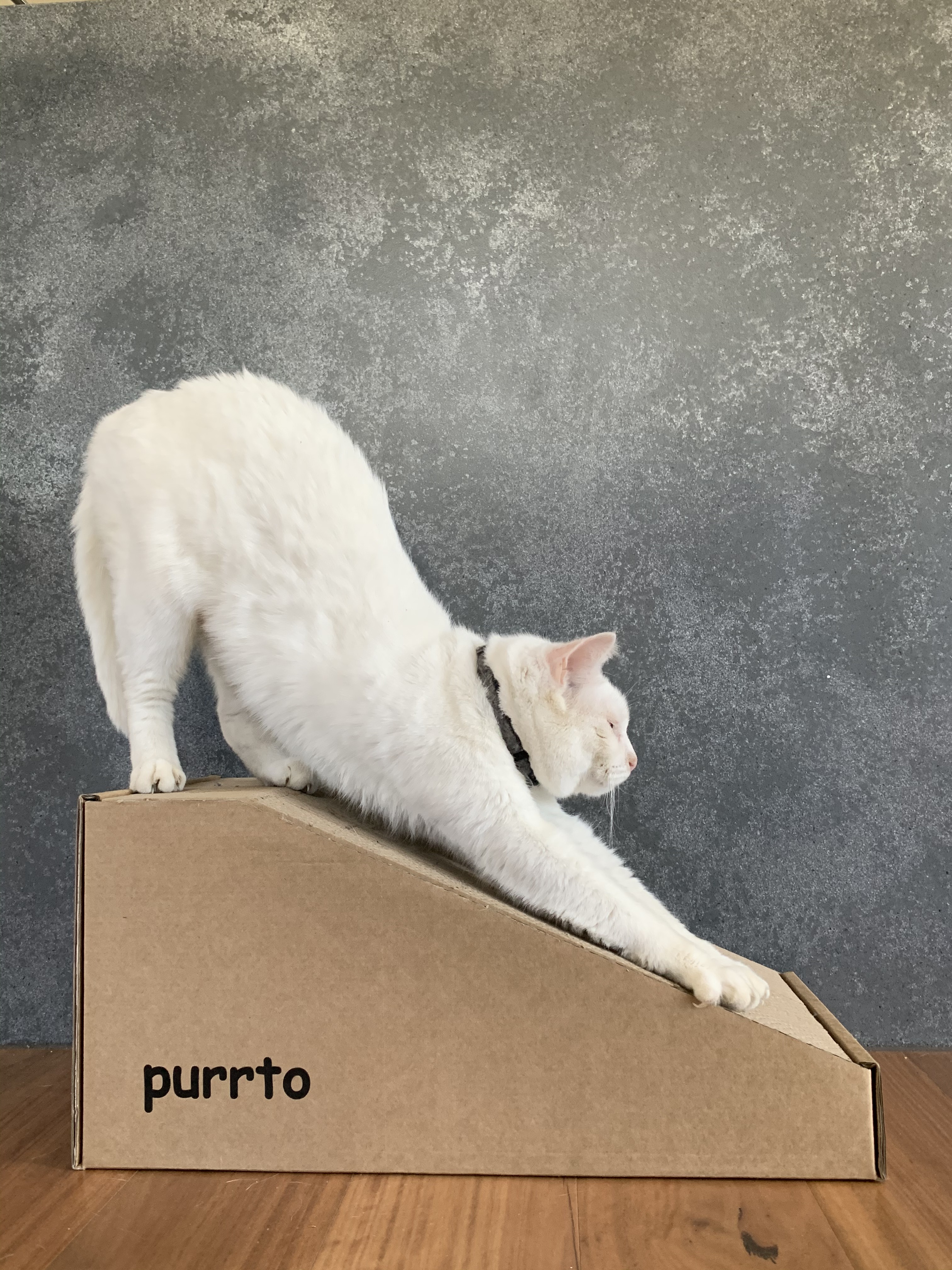 Close-up of the dense corrugated cardboard scratching ramp